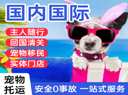 盐城航空快递国际宠物托运 【国